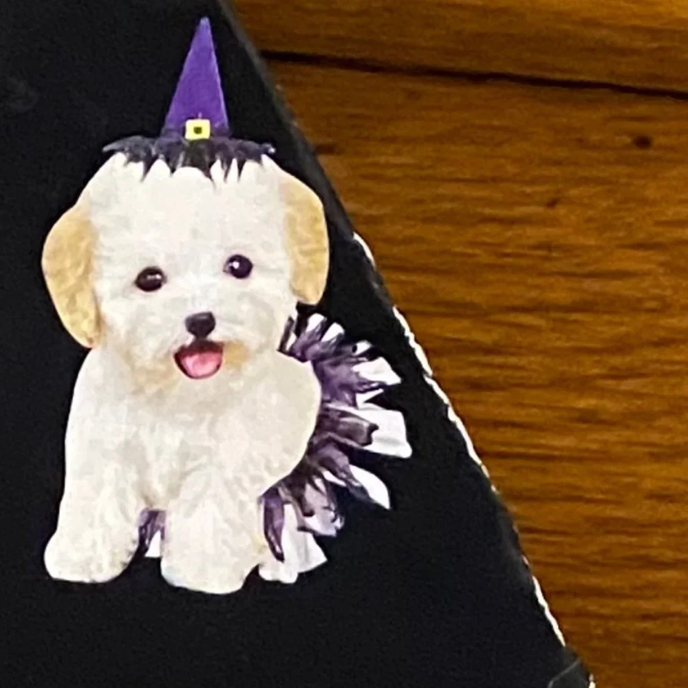 Witch Pet Costume Size Small NWT